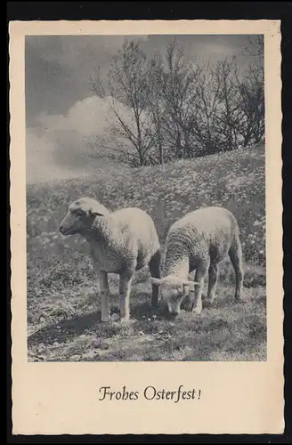 Tiere-AK Osterfest: Zwei Osterlämmer - Zwei Schafskinder, gelaufen 14.4.1941