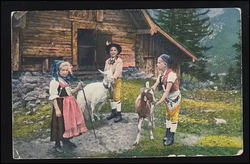Tiere-AK Appenzeller Trachten: Kindergruppe mit Ziegen, gelaufen 1928