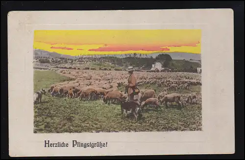Animaux-AK Lever du soleil: berger avec son troupeau de moutons, BAIN DE SALSEUILLE 6.6.1919