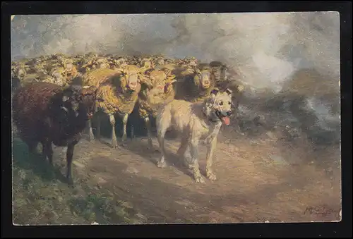 Animaux-AK W. de Rügel: moutons à la gare de passage à niveau Arrêt quand la barrière est fermée!