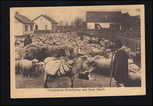 Animaux-AK Photo: bergers roumains avec leur troupeau et l'âne, écrit en 1917