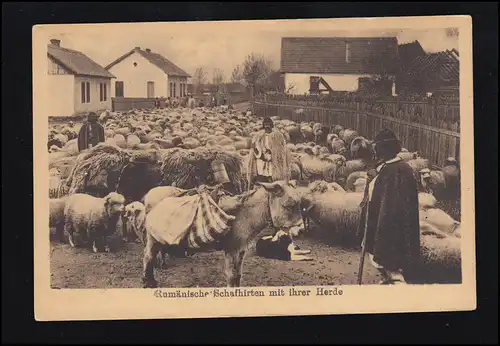 Tiere-AK Foto: Rumänische Schafhirten mit ihrer Herde und Esel, geschrieben 1917