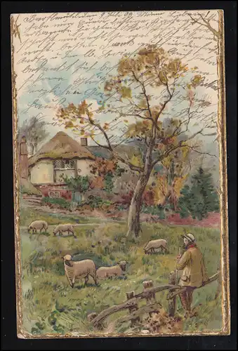 Tiere-AK Dorfidylle: Schäfer mit Schafen, VELDEN / VILS 9.7.1903 nach BORNHEIM 