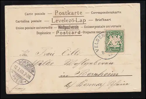 Tiere-AK Dorfidylle: Schäfer mit Schafen, VELDEN / VILS 9.7.1903 nach BORNHEIM 