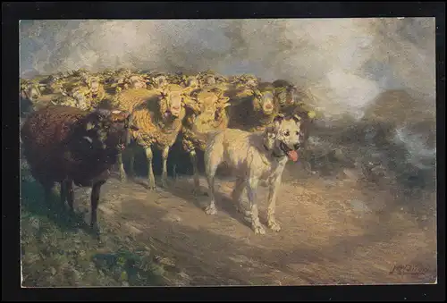 Tiere-AK W. von Zügel: Halt, wenn die Schranke geschlossen! Schafe Bahnübergang 