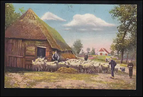 Tiere-AK Lüneburger Heide: Schafe am Stall, ungebraucht