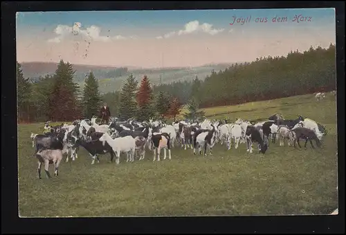 Idylle d'animaux de la résine: troupeau de chèvres et berger, BRANCHE 16.8.1918
