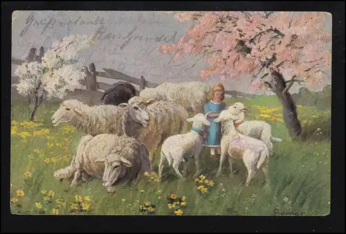 Tiere-AK Mädchen mit Schafen und Lämmern, MAINZ 26.10.1913
