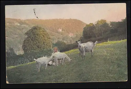 Tiere-AK Dorfidylle: Frau mit Ziegen am Hang, BECKENDORF / OSCHERSLEBEN 1920
