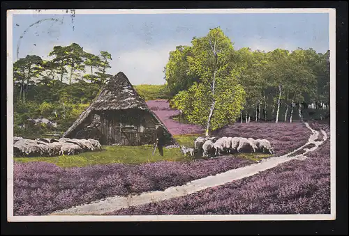 Tiere-AK Aus der Lüneburger Heide: Schäfer Schafe Hütte, CELLE 22.8.1936