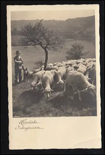 Photo AK animal: Berger avec moutons et chiens, DRAMBURG 10.4.1936 (Bug)