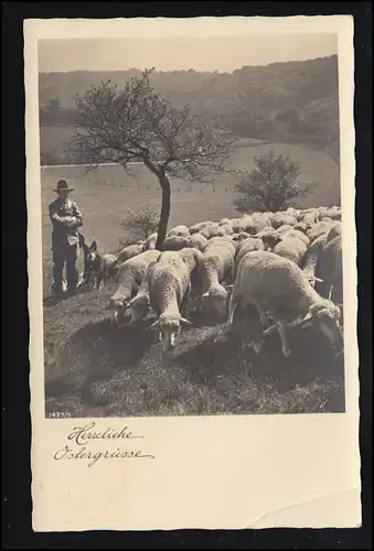 Tiere-AK Foto: Hirte mit Schafen und Hund, DRAMBURG 10.4.1936 (Bug)