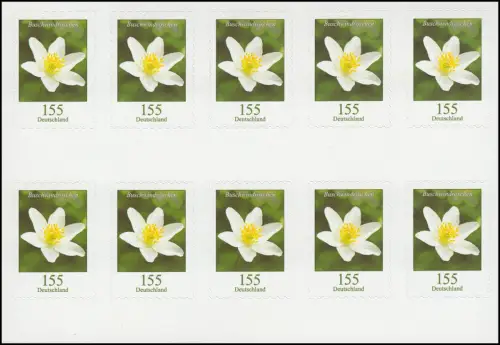 FB 91bII Rosier à vent, feuille ** (10x 3484), no -0151, Espacement ultérieur