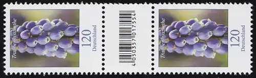 3447 Hyazinthe de raisin 120 cents, couple numéroté, champ de code, sans numéro **