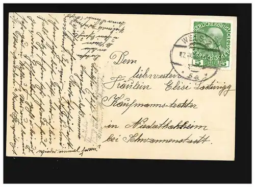 AK Femmes: femme longue robe avec des fleurs dans le panier devant les arbres, Wels 17.04.1913