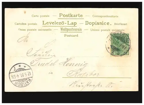 AK Femmes: femme Houblon et marguerites dans les cheveux, robe jaune, Ratibor 12.05.1901