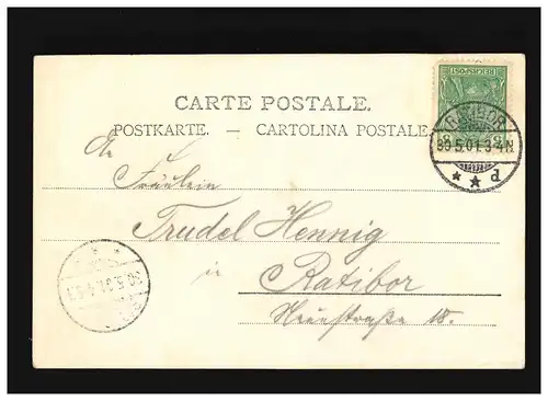 AK Femmes: femme élégante avec capot boucles violettes dans les cheveux, Ratibor 30.05.1901