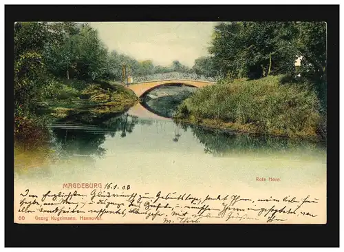 AK Magdeburg Pont Rouge Horn Elbinsel Park, Magdébourg/Hannover 17.01.1903