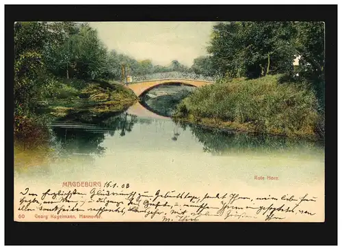 AK Magdeburg Rote Horn Brücke Elbinsel Park, Magdeburg/Hannover 17.01.1903