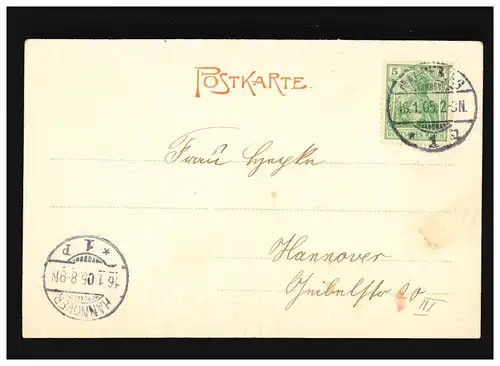 AK Magdeburg Buckau Inselteich , Magdeburg/Hannover 16.01.1905