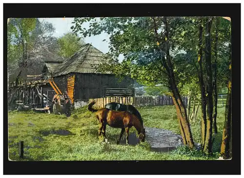 Landwirtschaft Mühle Pferde Mühlbach Koppel Wiese Bäume, Ladbergen 9.8.1913