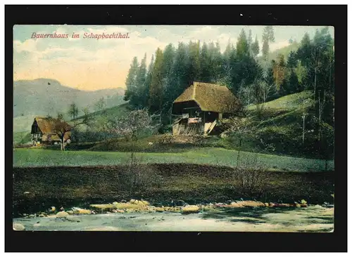 Landwirtschaft Bauernhaus Schapbachtal Schwarzwald Reetdach, Hausach 30.6.1908