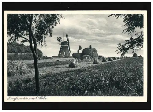 Agriculture Ile de Föhr moulin à vent foin moisson été fermiers, non utilisés