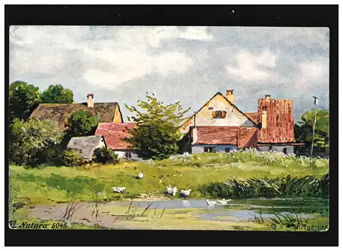 Agriculture Maisons de ferme Oie Prairie Weiher Peinture Splitgerber, inutilisé