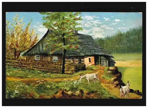 Agriculture ferme ferme ardoise toit chèvre forêt pré, Barmen 4.2.1910