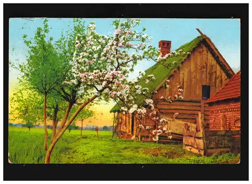 Landwirtschaft Bauerhaus Hof Kirschblüten Bäume Wiese, Bad Sassendorf 31.8.1926