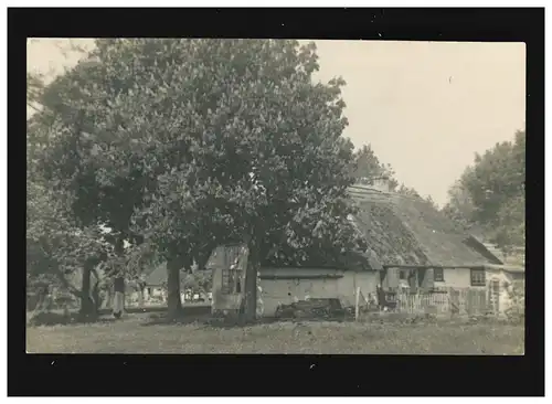 Landwirtschaft Bauernhof Bäume Fotografie Reetdach, ungebraucht