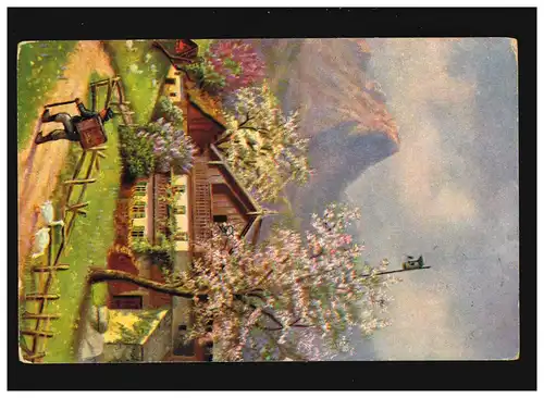 Landwirtschaft Bergbauernhof Kirschblüten Gänse Berge Wanderer, Berlin 11.1.1930