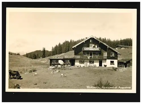 Landwirtschaft Winklmoos Alpengasthof Augustiner Kühe Weide, ungebraucht