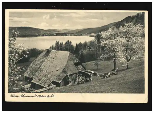 Landwirtschaft Titisee Schwarzwald Bauernhäuser Blüte Bäume, Titisee 30.3.1928