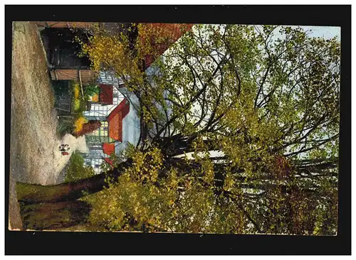 Agriculture Rue arbres Bâtiments à colombages spécialisés Village Thuringe, non utilisé