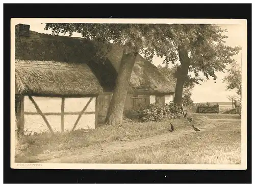 Landwirtschaft Fachwerk Bauernhaus Reetdach Fischerdorf Hühner, ungebraucht