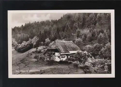 Agriculture Ferme dans la Forêt Noire Paysage Panorama, Titisee 27.8.1951