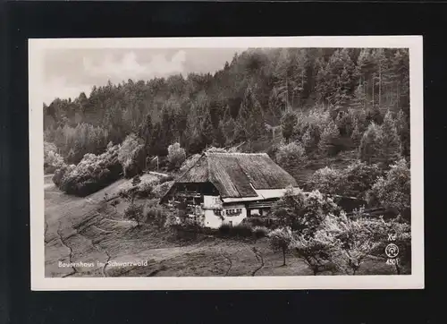 Landwirtschaft Bauernhaus im Schwarzwald Landschaft Panorama, Titisee 27.8.1951