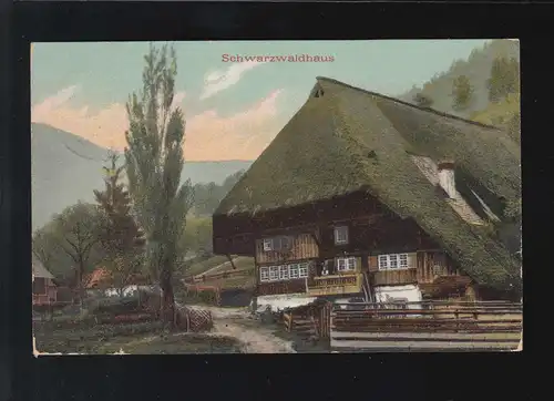 Landwirtschaft Bauernhaus Schwarzwaldhaus , Wildbad (Württemberg) 29.Juli 1908