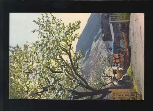 Landwirtschaft Bauernhof Gehöft Kühe Berge, Photochromie, ungebraucht 