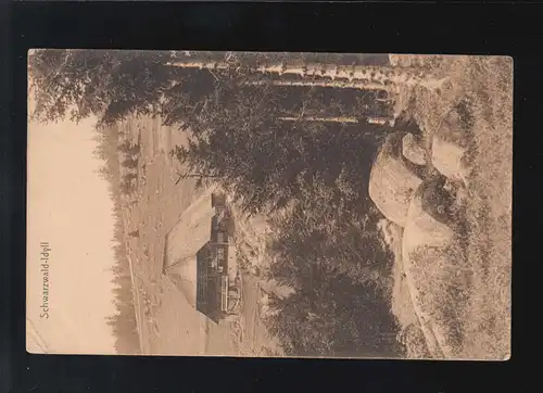 Landwirtschaft Bauernhaus Schwarzwald Idyll Bergpanorama, Schömberg 