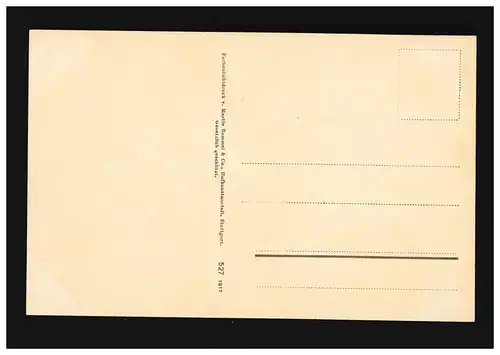 AK fleurs bouquet rose fleur branche couleur impression, inutilisé