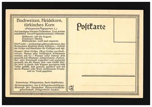 AK Fleurs Knotterich de pêche Sarrasin Légumes sauvages non utilisés