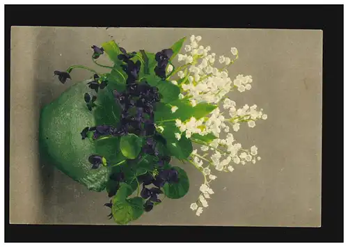 AK Fleurs bol vert Usambara Veilchen Plage Carrelage, gobelins 15.5.1908