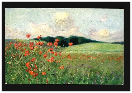 AK Blumen Feld Wiese Mohnblumen Kornblumen Landschaft, ungebraucht