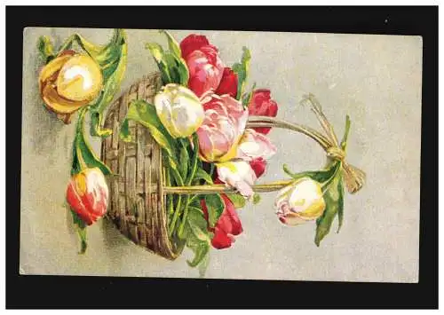 AK Blumen Stillleben - Tulpen Bastkorb Wien Gerstmayer, gelaufen 5.1.1924