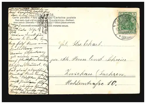 AK Blumen Zweige Flieder Lila auf grünem Grund, Freiberg (Sachsen) 15.7.1908