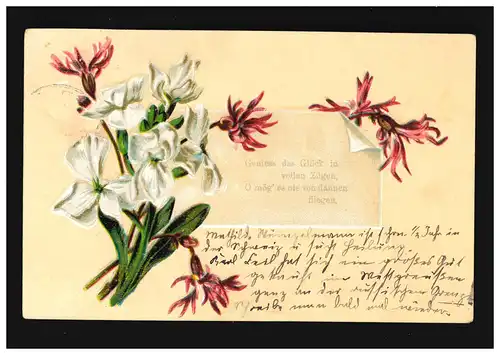 AK Blumen rosa Nelken weisse Blüten, Geniess das Glück, Burg (Dithm) .27.6.1908
