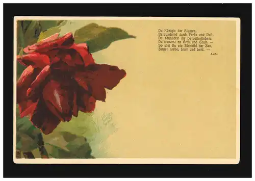 AK Blumen rote Rose du Königin der Blumen, Golzow / Wilhelmsburg 22.01.1906