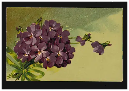 AK Fleurs violettes Bouqet boucle verte Expédition de lettres, Berne 31.12.1920
